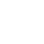 Velan ABV Logo